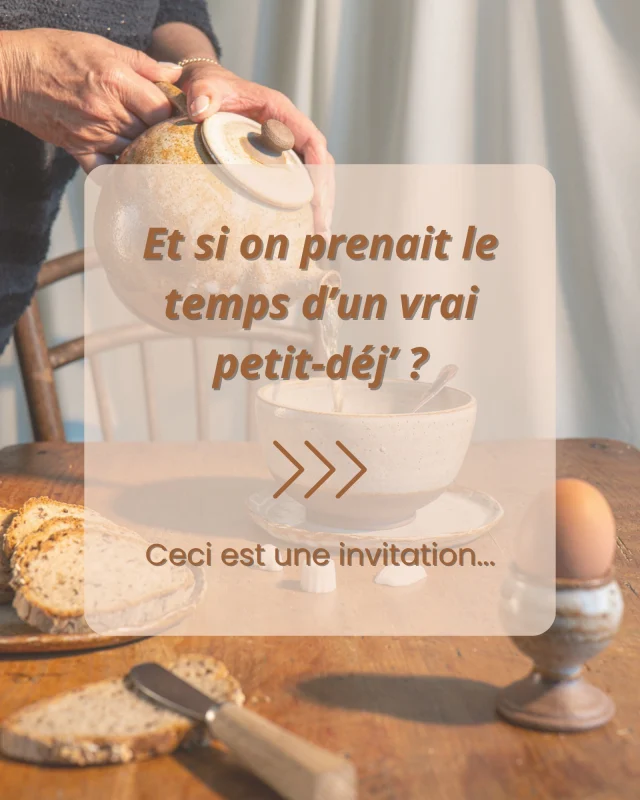 ☕️ Dernier rappel pour notre Rendez-vous du matin gourmand !
On vous attend jeudi 30 octobre de 9h à 11h directement à la poterie.

Au programme :
✨ Découverte de notre collection petit-déjeuner
🎁 Une remise exceptionnelle pour vos cadeaux de Noël
🍰 Un moment convivial autour de belles pièces à toucher, choisir, composer
Parce qu'on adore partager ces moments avec vous, on a préparé quelques surprises…
Vous serez des nôtres ?
Venez nous le dire en commentaire ! 💬

📍 La Poterie de Sandra, Corseul
📅 Jeudi 30 octobre, 9h-11h

Photo + créa : @c_suzette

#rendezvousgourmand #collectionpetitdej #evenementpoterie #corseul #poteriefaitmain #ceramiqueartisanale #cadeauxdenoel #artdelatable #momentconvivial #artisanatlocal #vaisselleceramique #ideescadeaux